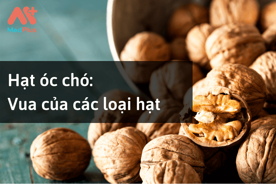 Hạt óc chó