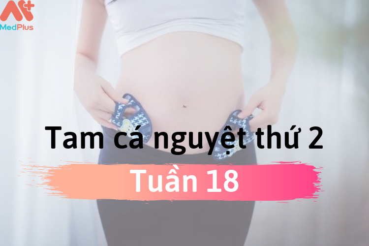 Sự phát triển thai nhi tuần thứ 18