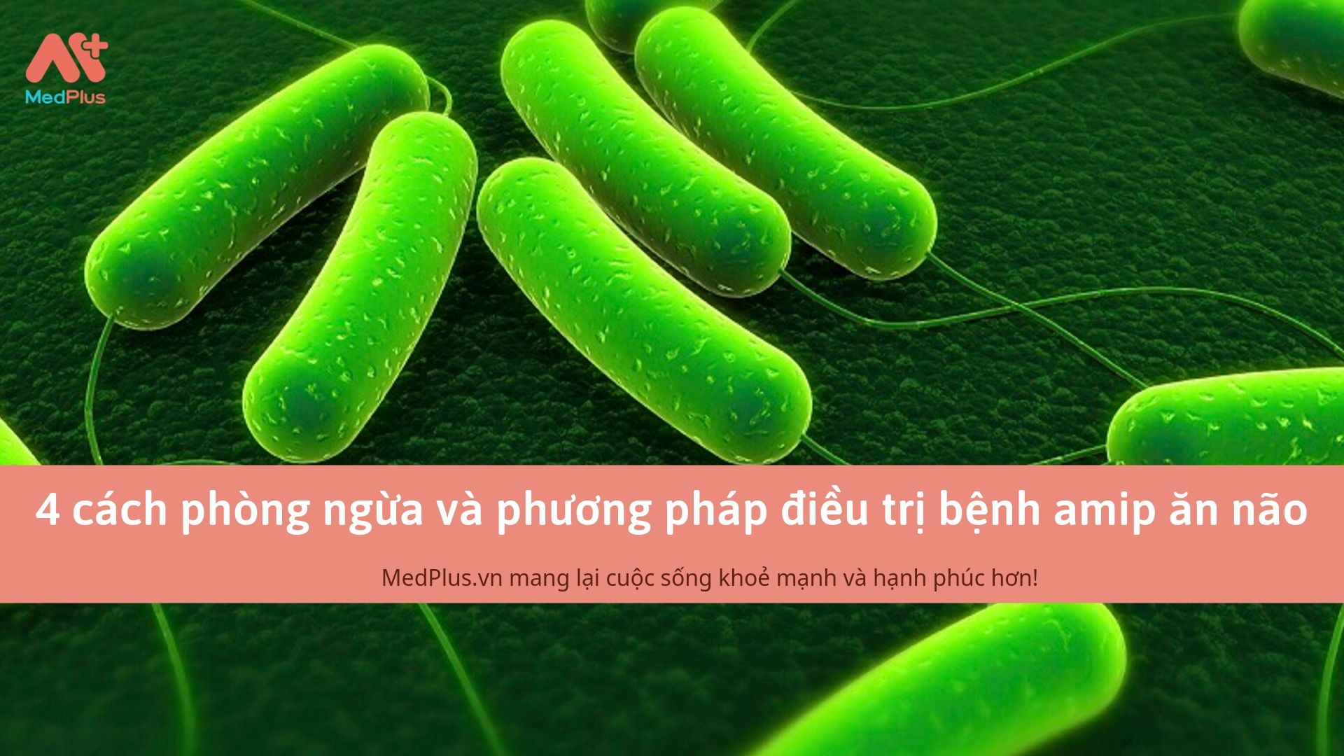 4 cách phòng ngừa và phương pháp điều trị bệnh amip ăn não