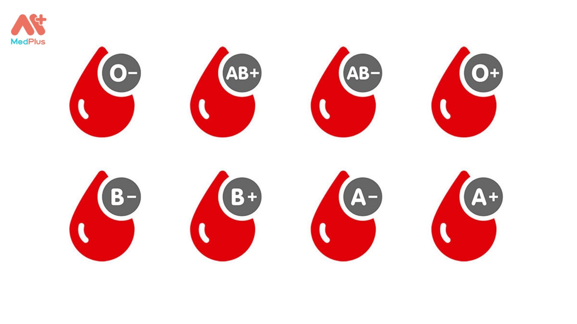 Các loại nhóm máu ở người. Trong đó, các nhóm máu Rh(-) hiếm hơn hẳn 