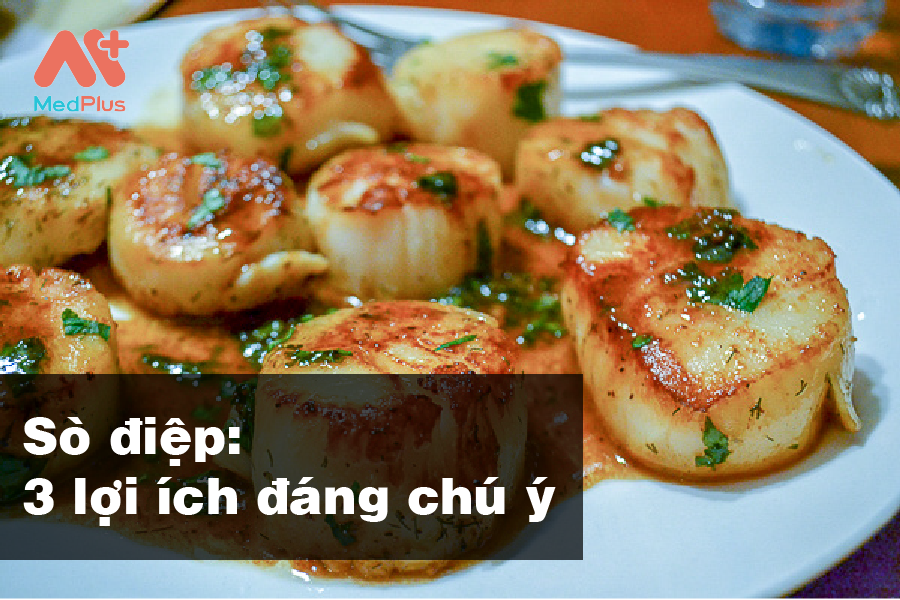 Lợi ích sức khỏe từ sò điệp