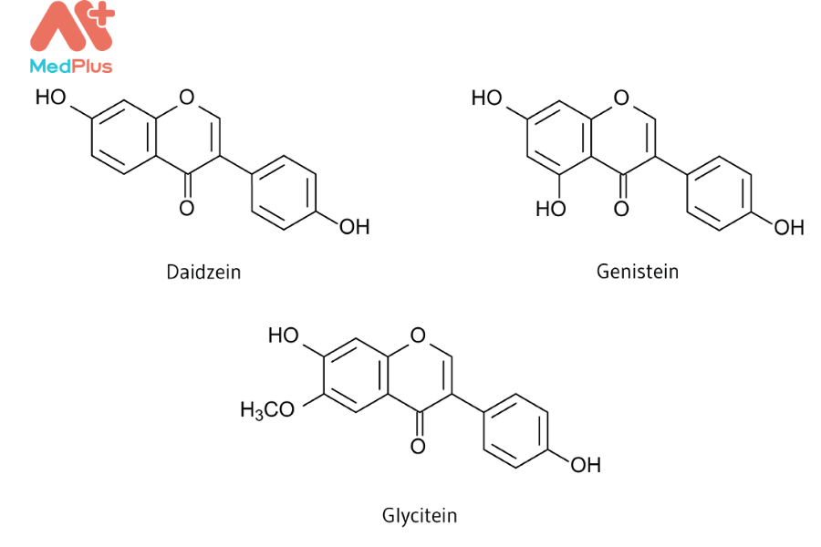 Công thức hóa học các dạng isoflavones trong đậu nành.