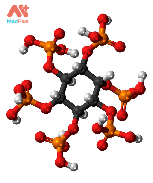 Cơm trắng hay cơm gạo lứt tốt cho sức khỏe của bạn? 138 Axit phytic (phytate) trong gạo lứt.