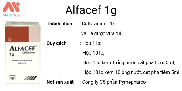Thuốc Alfacef 1g