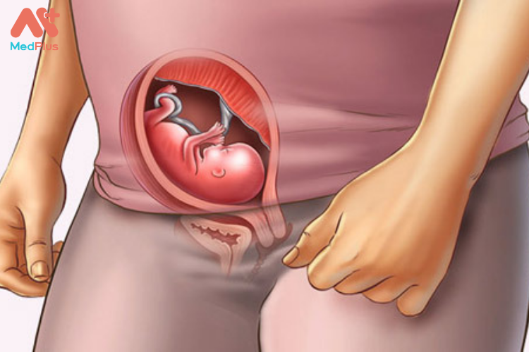Sự phát triển của thai nhi tuần 15 và những lưu ý