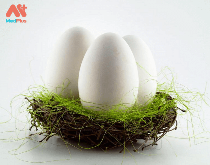 Mẹ bầu có nên ăn trứng ngỗng?