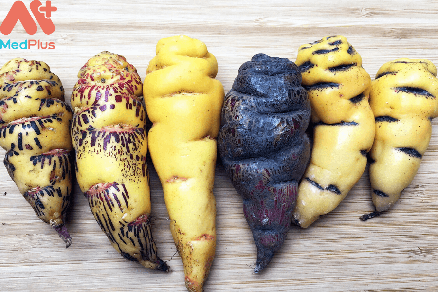 Lợi ích của mashua