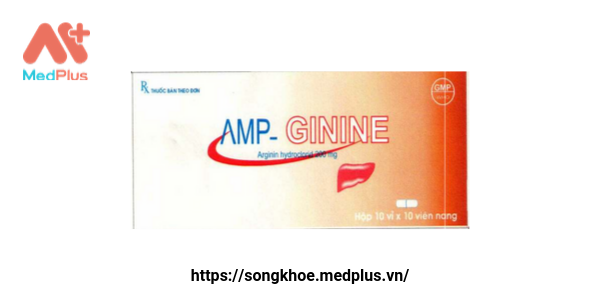 Amp - Ginine