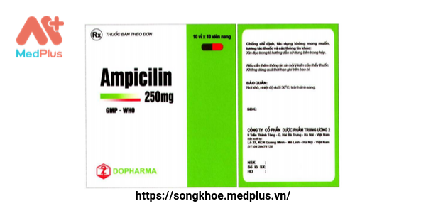 Ampicilin 250 mg