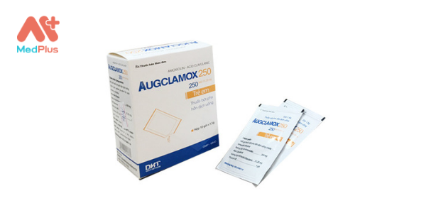 Augclamox 250 