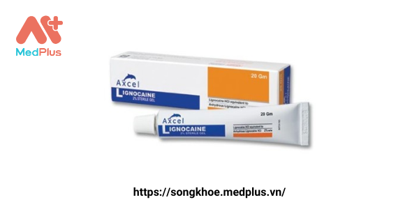 Axcel Lignocaine 2 Gel Sterile