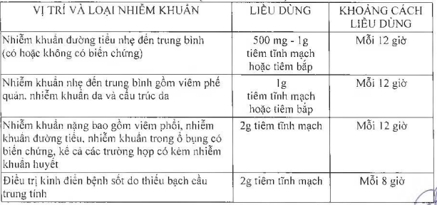 Liều đùng khuyến cáo đối với người lớn có chức năng thận bình thường