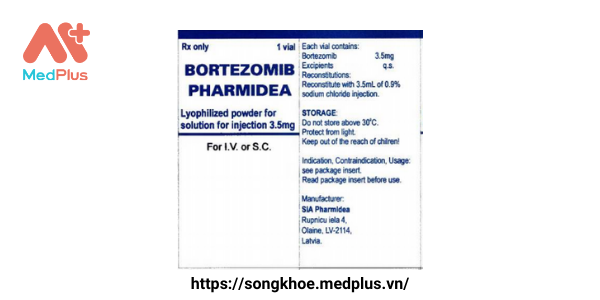 Bortezomib 