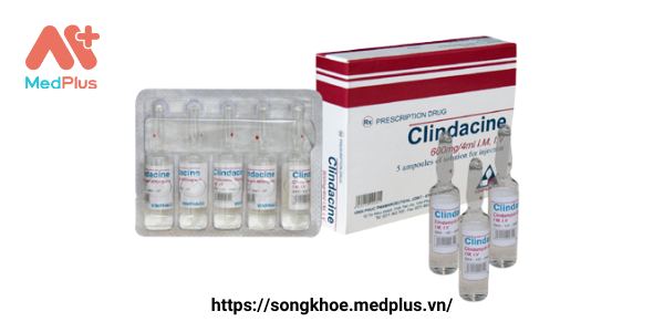 Thuốc Clindacine 600 mg: Liều dùng & lưu ý, hướng dẫn sử dụng, tác dụng phụ 128 Clindacine 600mg