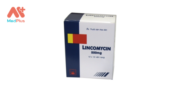 Lincomycin 500 mg