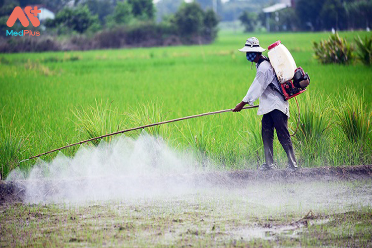 Tránh tiếp xúc với hóa chất