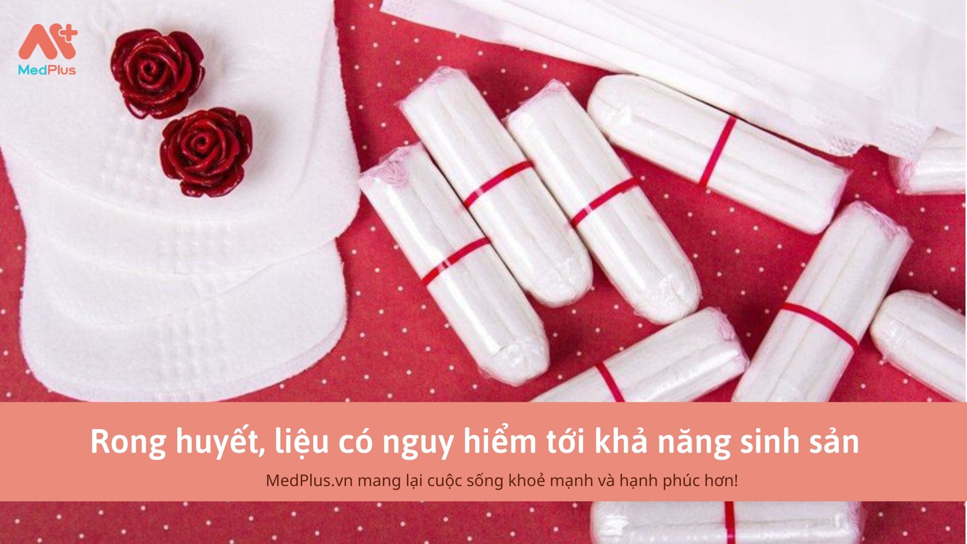 Rong huyết, liệu có nguy hiểm tới khả năng sinh sản