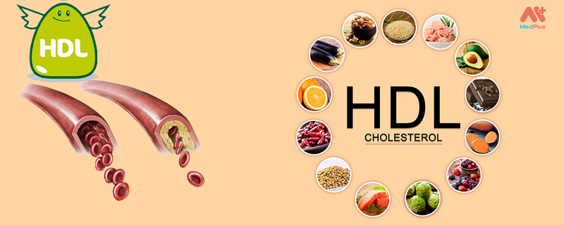 Tăng lượng cholesterol HDL "tốt"