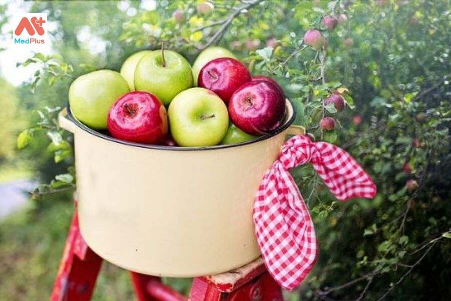 Lựa chọn những quả táo thơm ngon phù hợp với mục đích sử dụng của bạn.