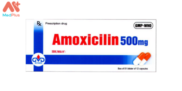 Thuốc Amoxicilin 500mg