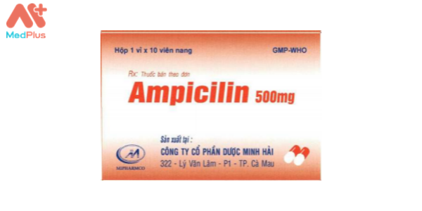 Thuốc Ampicilin 500 mg