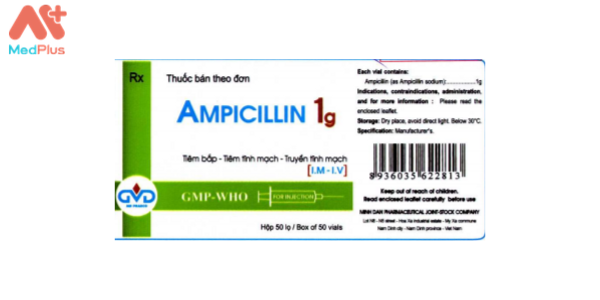 Thuốc Ampicillin 1g