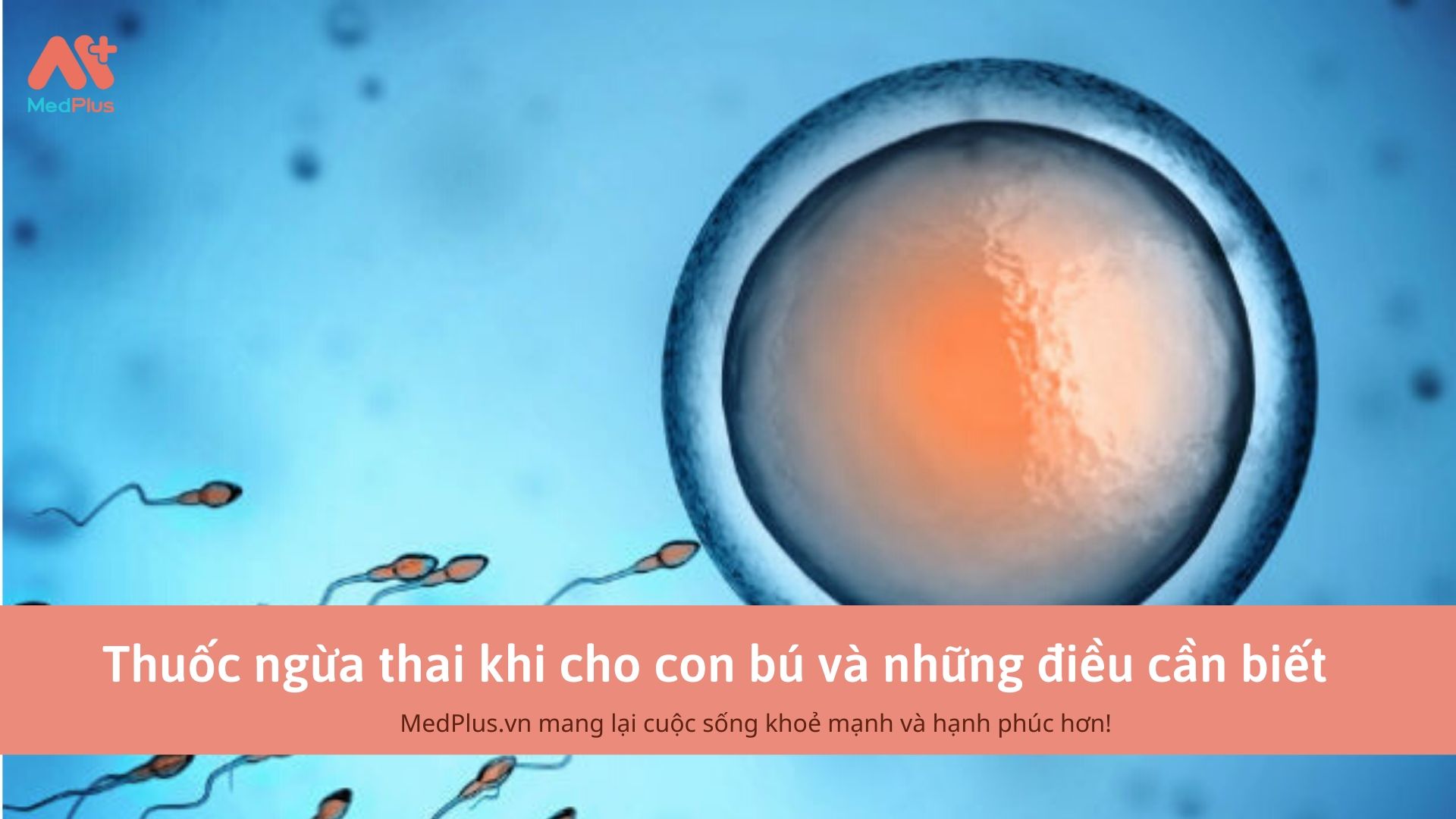 Thuốc ngừa thai khi cho con bú và những điều cần biết