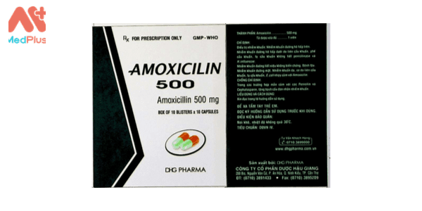 Thuốc Amoxicilin 500 mg HG