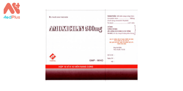 Thuốc Amoxicilin 500 mg Vidipha