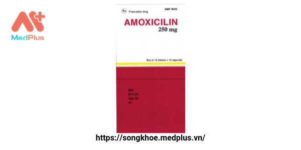 Thuốc Amoxicilin 250 mg