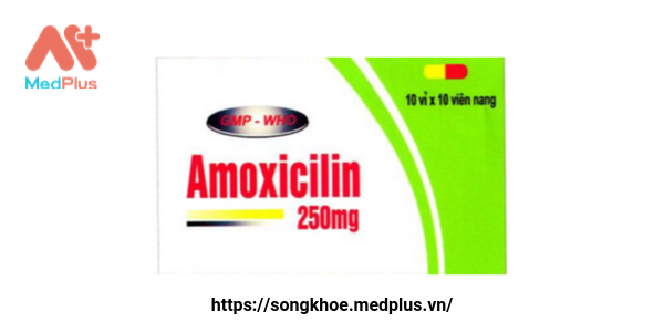 Thuốc Amoxicilin 250 mg
