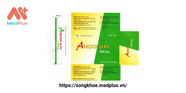 Thuốc Amoxicilin 500 mg