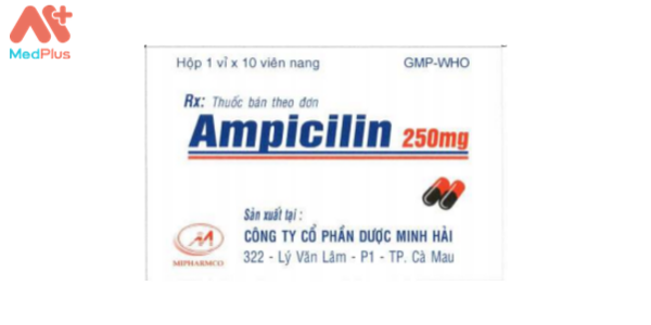 Thuốc Ampicilin 250 mg