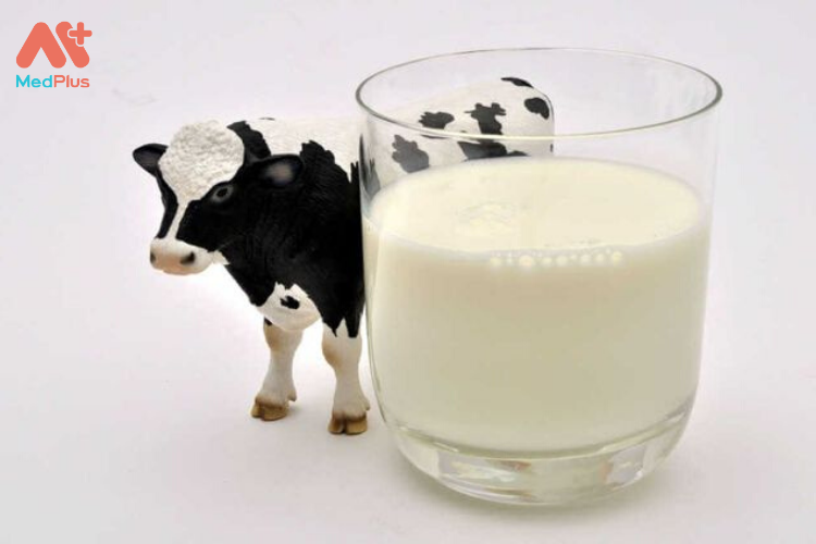 Trẻ uống nhiều sữa bò