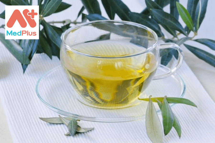 Lợi ích của trà lá ô liu
