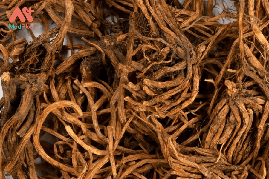 Lợi ích của rễ cây long đởm