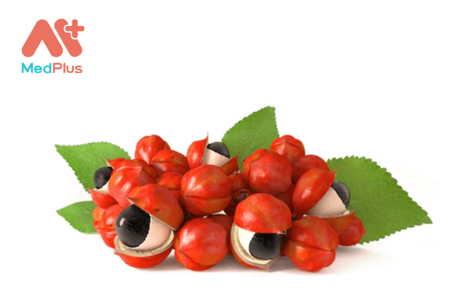 Lợi ích của quả guarana