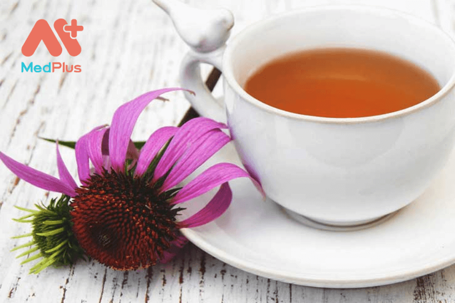Lợi ích của trà hoa cúc tím
