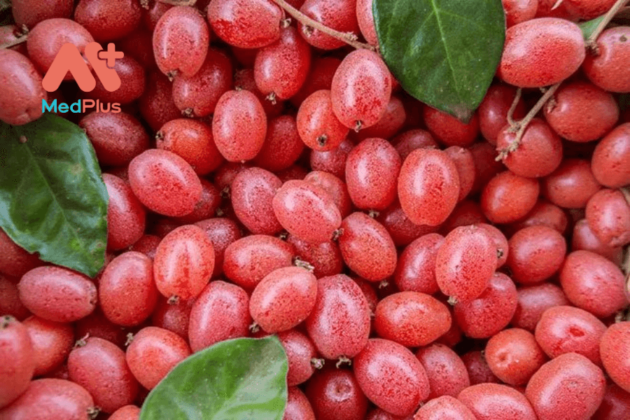 Ăn quả nhót có tác dụng gì