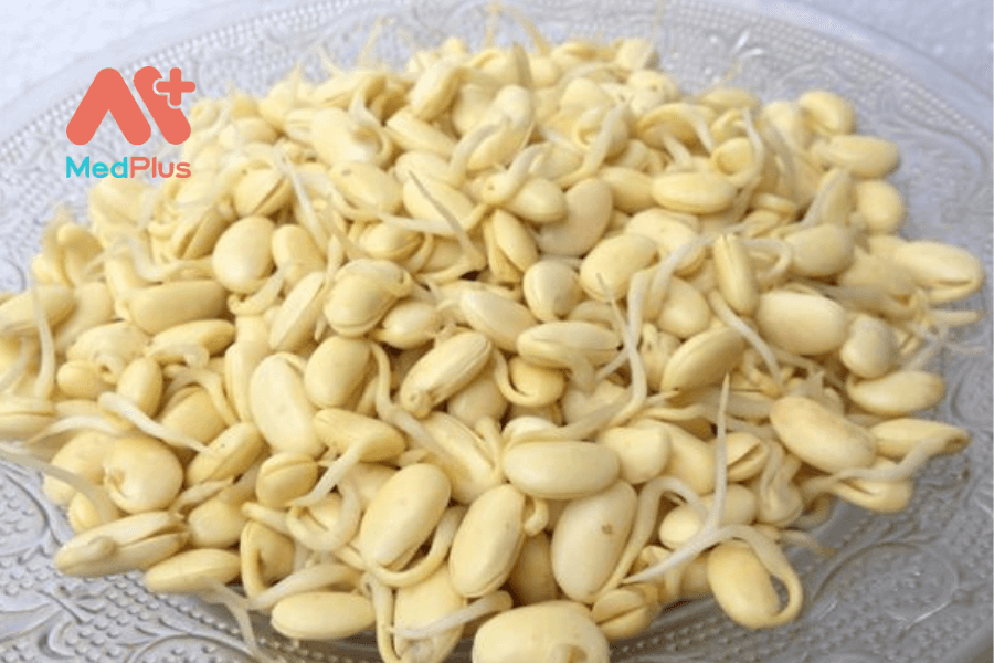 Mầm đậu nành và 6 lợi ích sức khỏe bạn cần biết 127 Tác dụng của mầm đậu nành