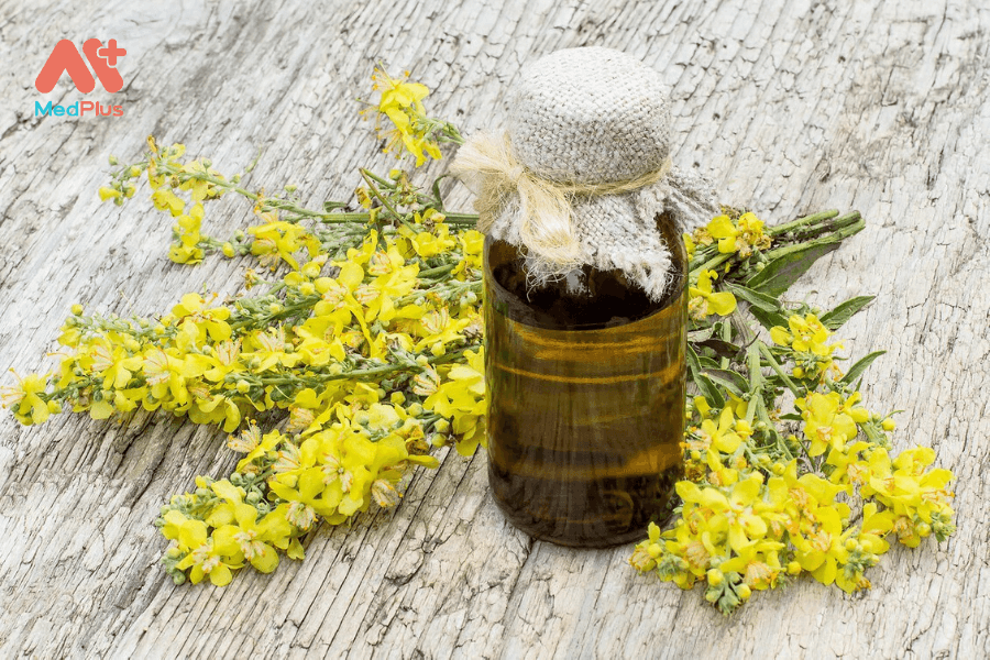 Lợi ích của thảo bản bông vàng