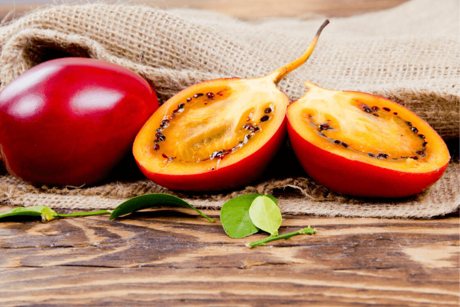 Lợi ích của cà chua thân gỗ