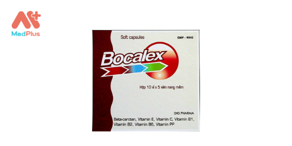 Bocalex