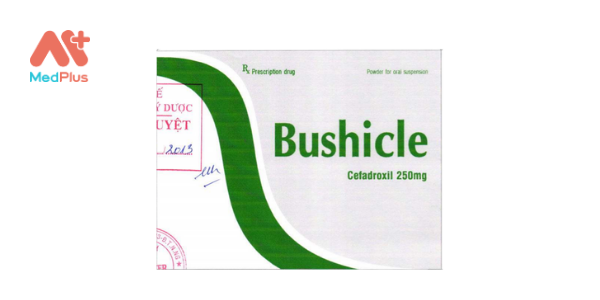 Bushicle