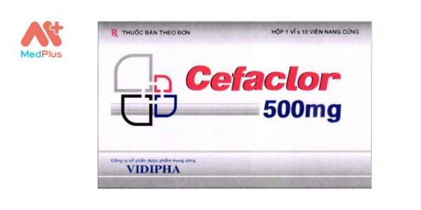 Cefaclor 500 mg (1)