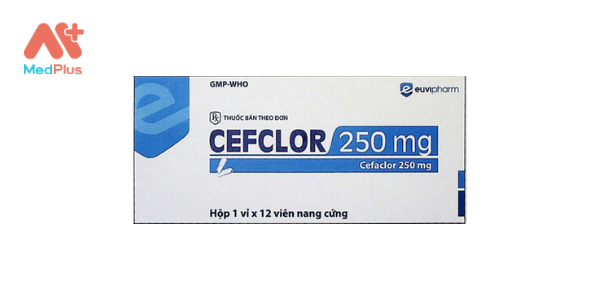 Cefclor 250 mg