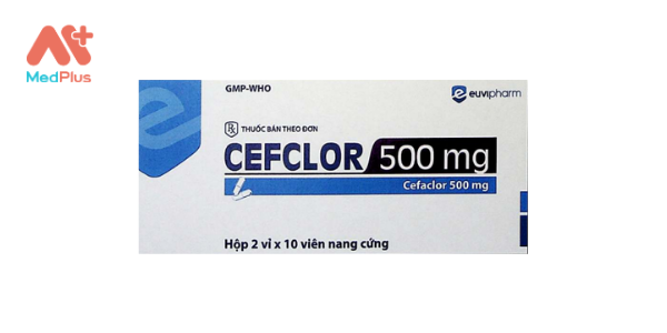 Cefclor 500 mg