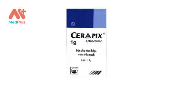 Ceraapix