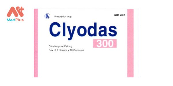 Clyodas 300