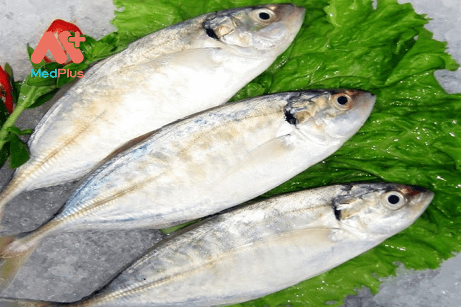 Lợi ích của cá bạc má